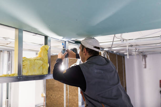 Attic Insulation Near Me in Coushatta, LA
