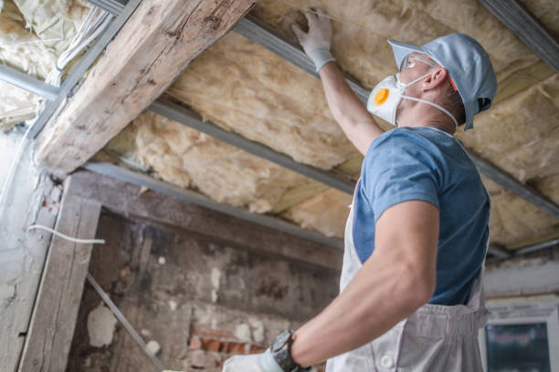 Best Wall Insulation Contractor  in Coushatta, LA