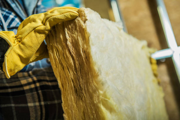 Best Insulation Removal  in Coushatta, LA
