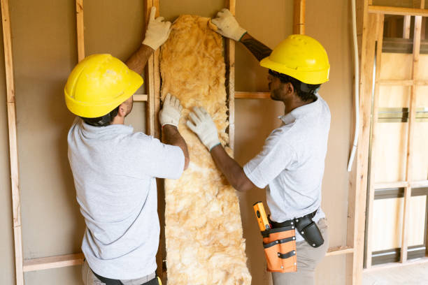 Best Insulation Replacement Services  in Coushatta, LA